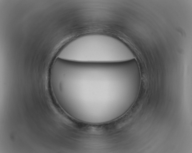 X0000114520442200910190953
