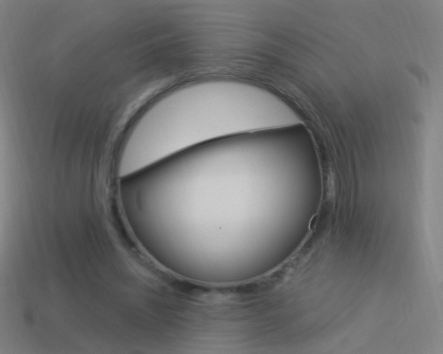 X0000114520444200910190953