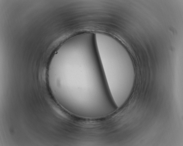 X0000114520445200910190953