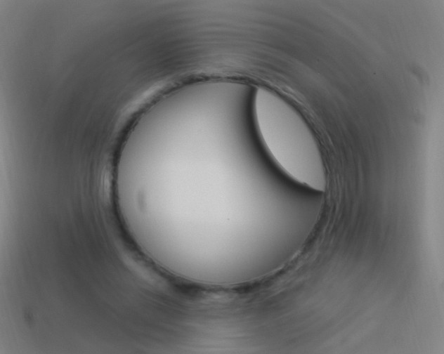X0000114520446200910190953