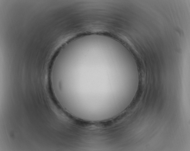 X0000114520447200910190953