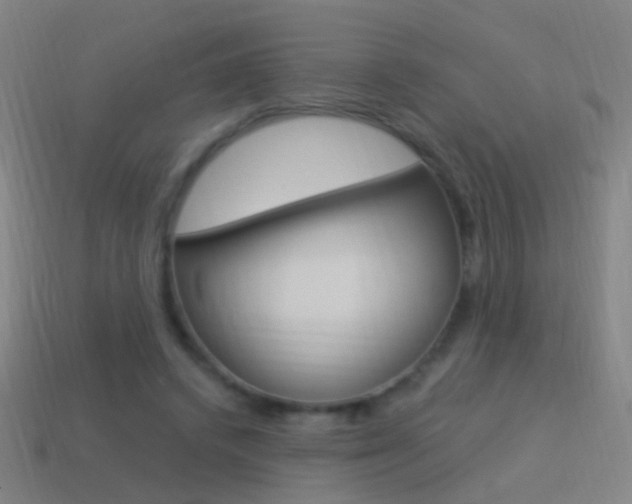 X0000114520448200910190953
