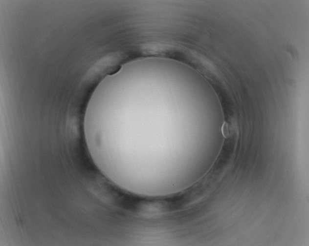 X0000114520452200910190953