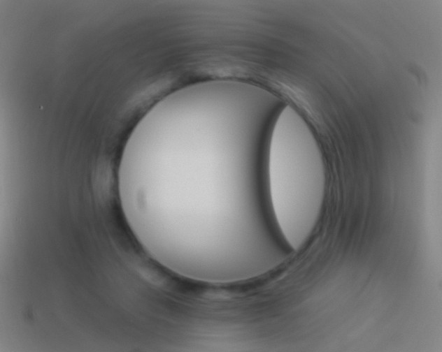 X0000114520453200910190953