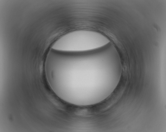 X0000114520454200910190953
