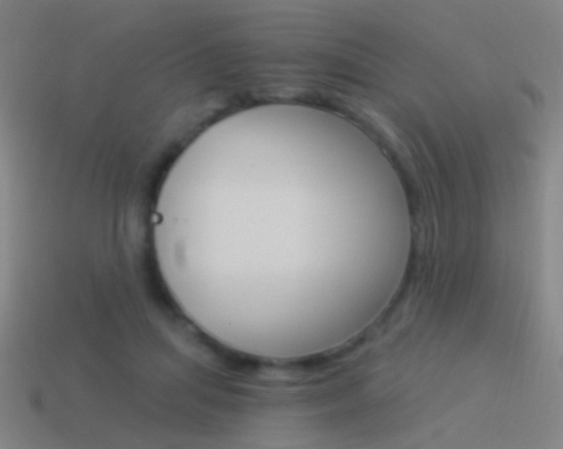 X0000114520455200910190953