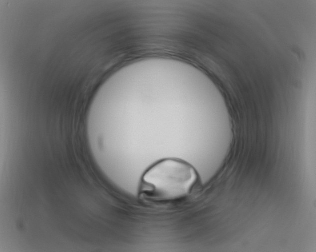 X0000114520456200910190953