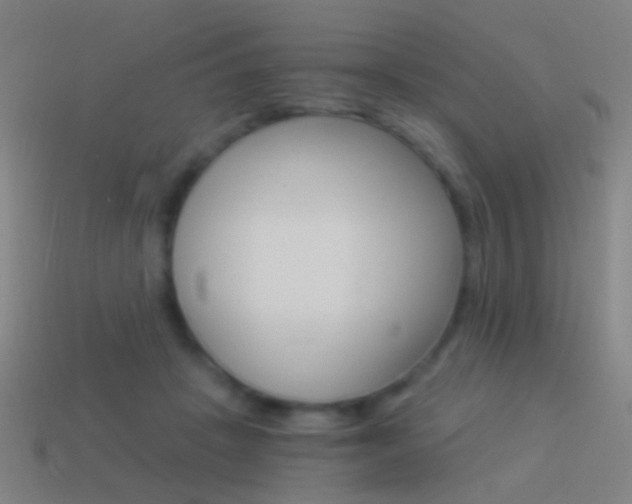 X0000114520457200910190953