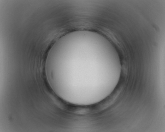 X0000114520458200910190953