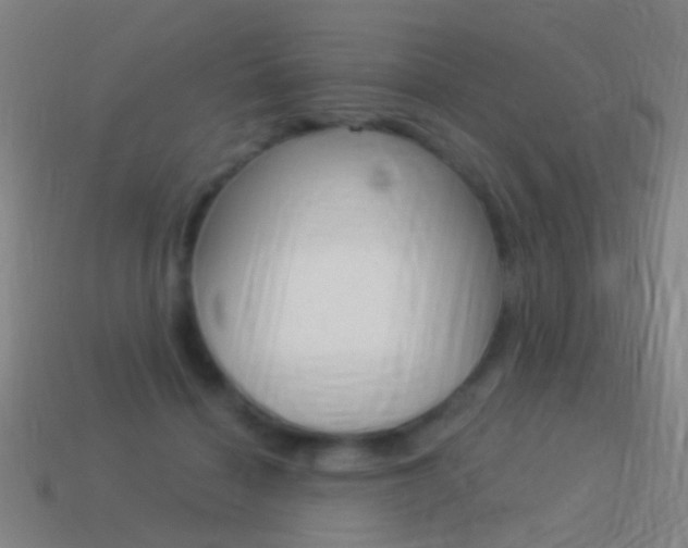 X0000114520460200910190953