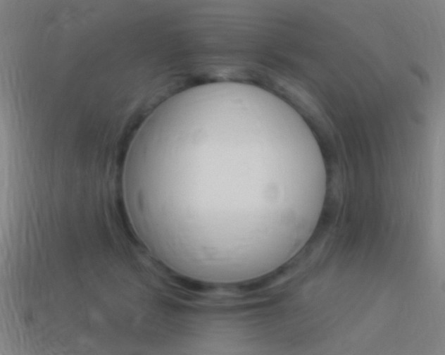 X0000114520461200910190953