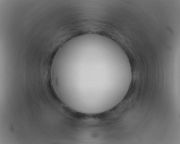 X0000114520464200910190953