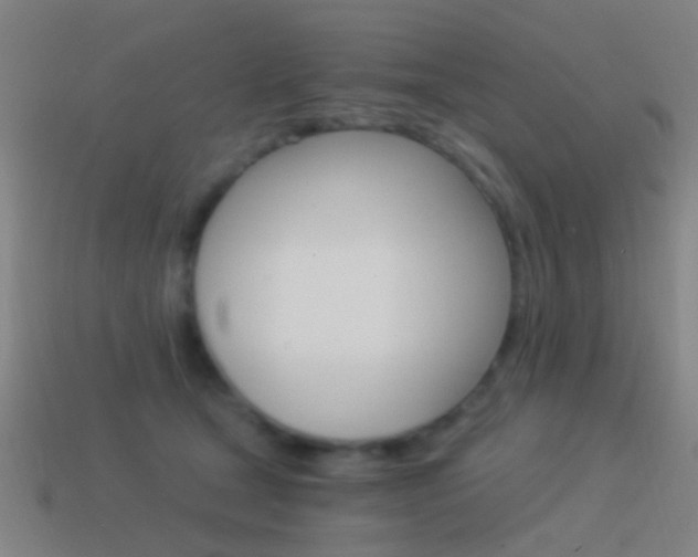X0000114520465200910190953