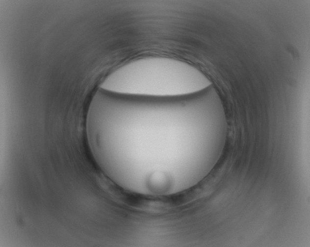 X0000114520466200910190953