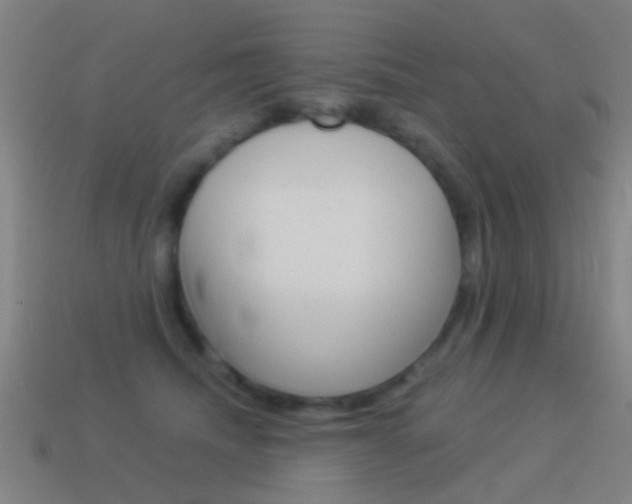 X0000114520468200910190953