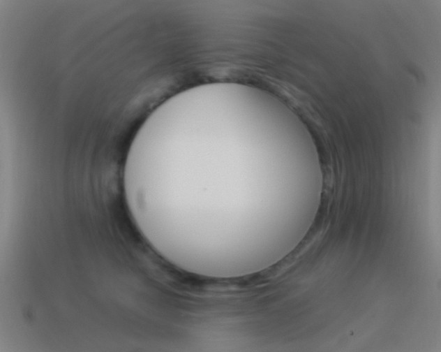 X0000114520470200910190953