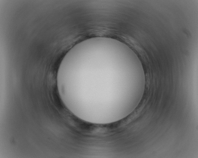 X0000114520471200910190953
