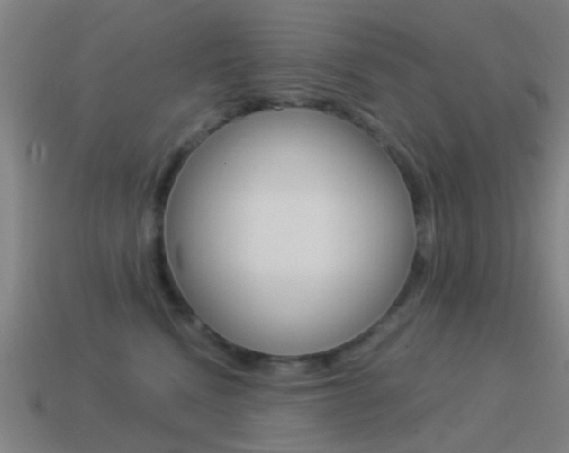 X0000114520472200910190953