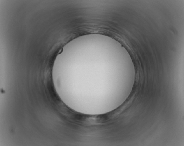 X0000114520473200910190953