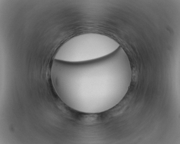 X0000114520474200910190953