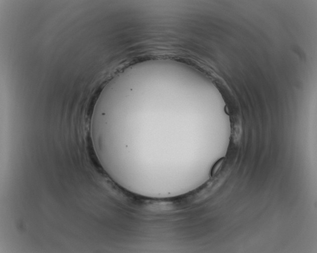 X0000114520476200910190953
