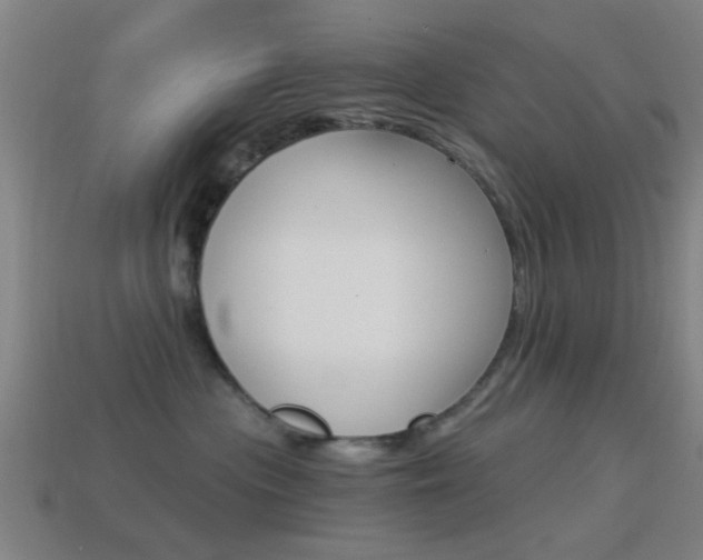 X0000114520477200910190953
