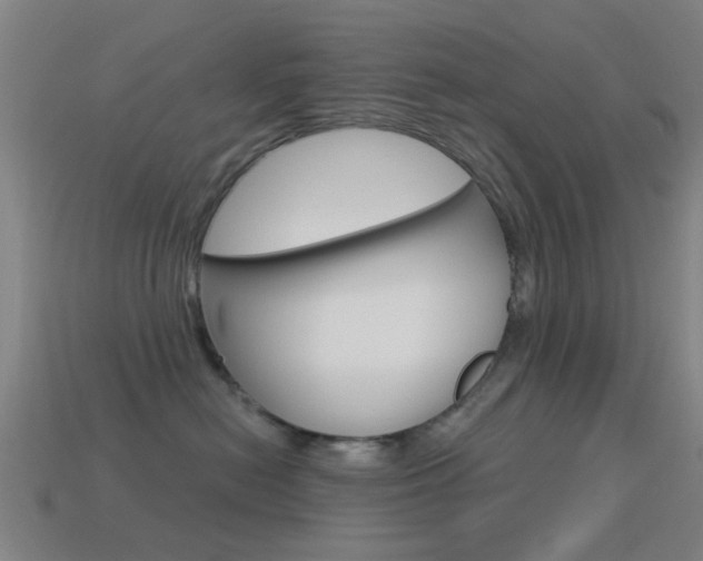 X0000114520478200910190953