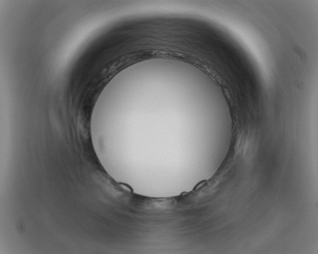 X0000114520479200910190953