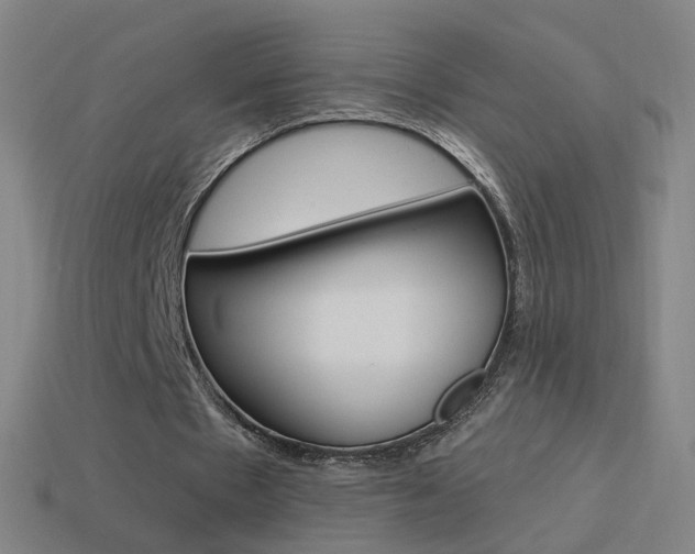 X0000114520481200910190953