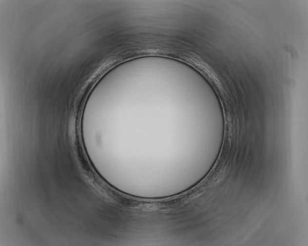 X0000114520482200910190953
