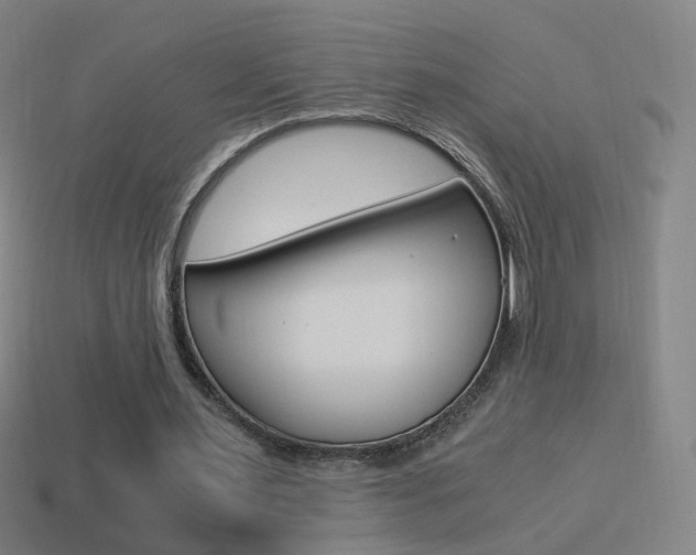 X0000114520483200910190953