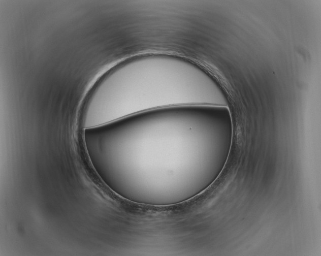 X0000114520484200910190953