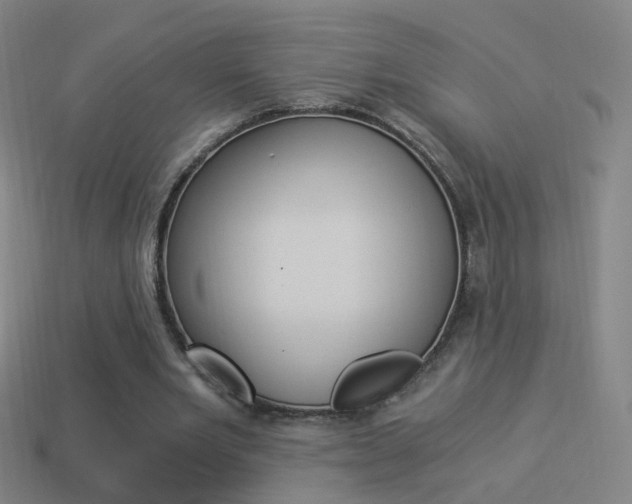 X0000114520485200910190953