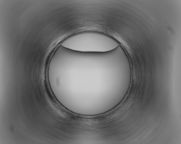 X0000114520486200910190953