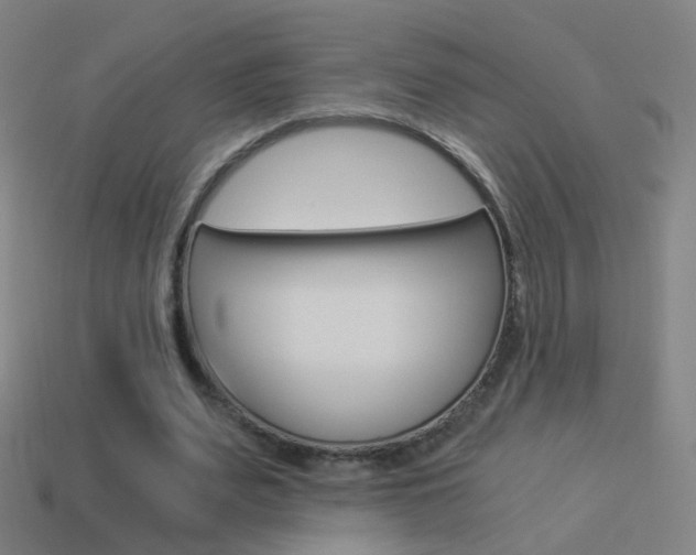 X0000114520487200910190953