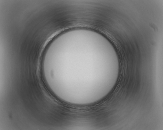 X0000114520488200910190953