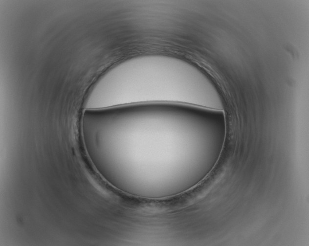 X0000114520489200910190953