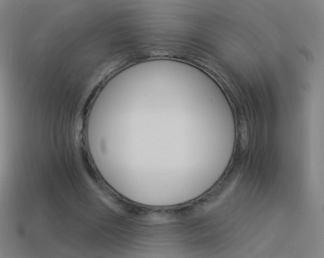 X0000114520490200910190953