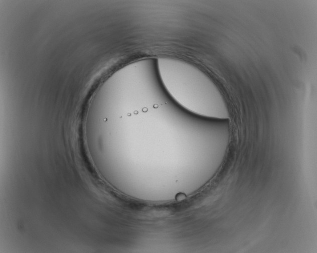 X0000114520491200910190953