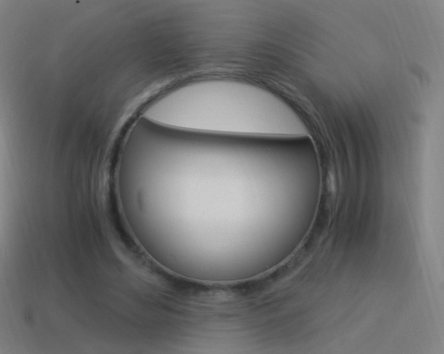 X0000114520492200910190953