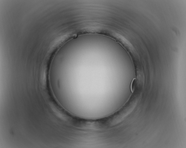 X0000114520493200910190953