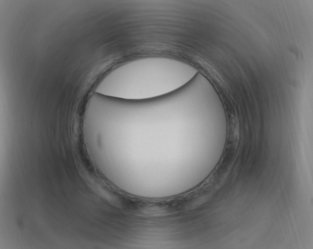X0000114520494200910190953