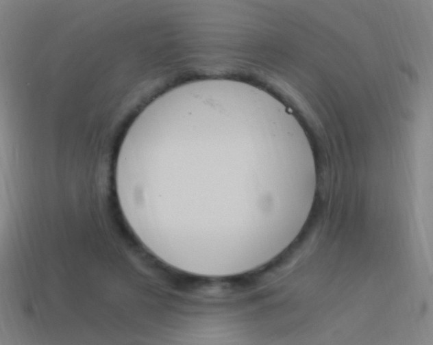 X0000114520497200910190953