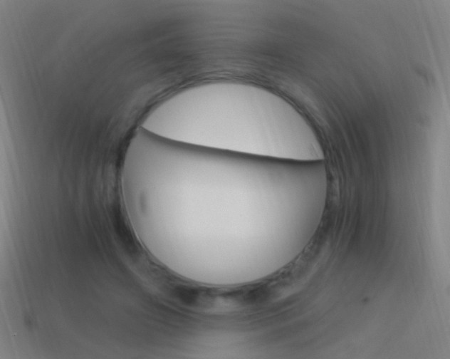 X0000114520498200910190953