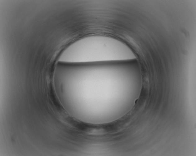 X0000114520500200910190952