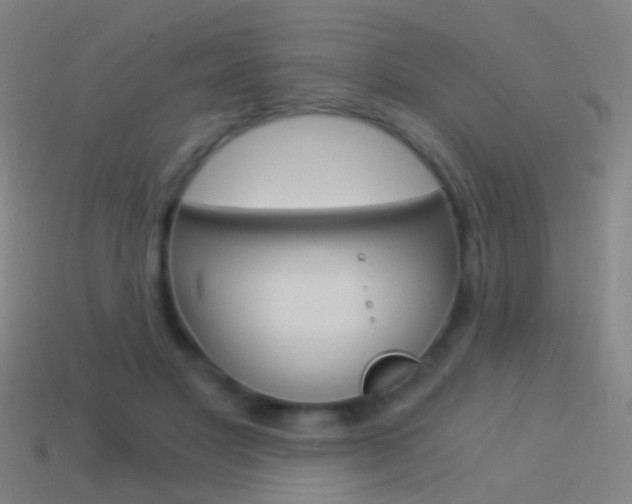 X0000114520501200910190952