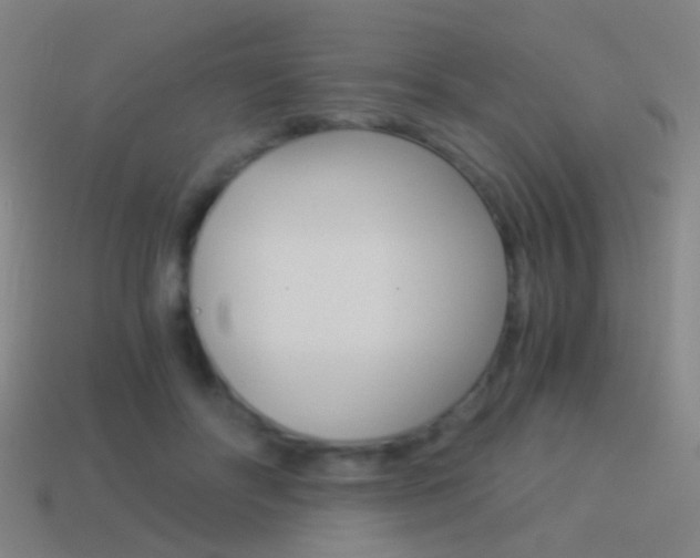 X0000114520502200910190952
