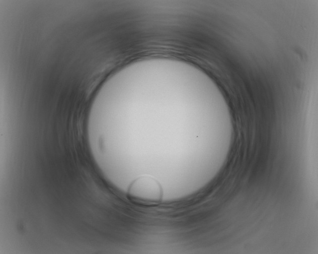 X0000114520504200910190952