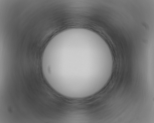 X0000114520505200910190952
