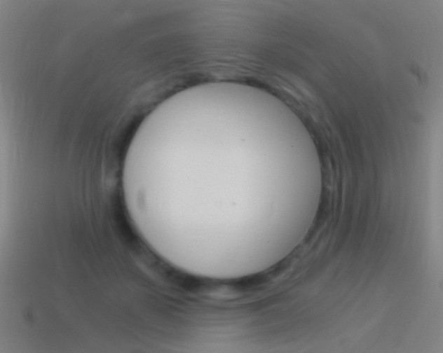 X0000114520507200910190952